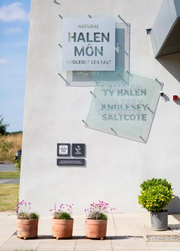 Arwyddion Halen Môn y tu allan i fynedfa adeilad gwyn gyda phlanhigion gwyrdd a blodau pinc.