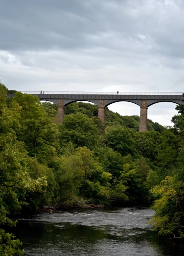 Llun o'r draphont gyda choed ac afon islaw