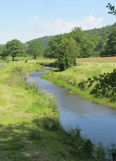 Nant a chefn gwlad ar ddiwrnod heulog.