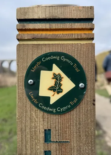Arwyddbost llwybr Llwybr Coedwig Cymru mewn parc gwledig.