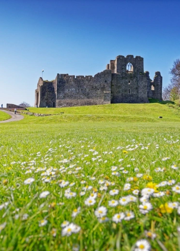 Castell yn rhannol adfeiliedig mewn dôl laswelltog.