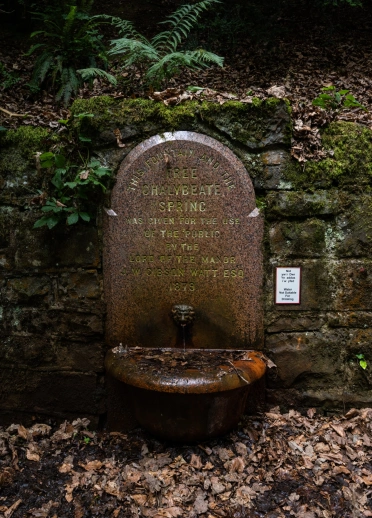 Ffynnon ddŵr mewn parc cyhoeddus.