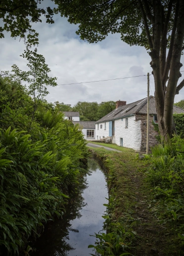 Roedd y ffrwd a Gwyn yn golchi adeiladau Melin Tregwynt