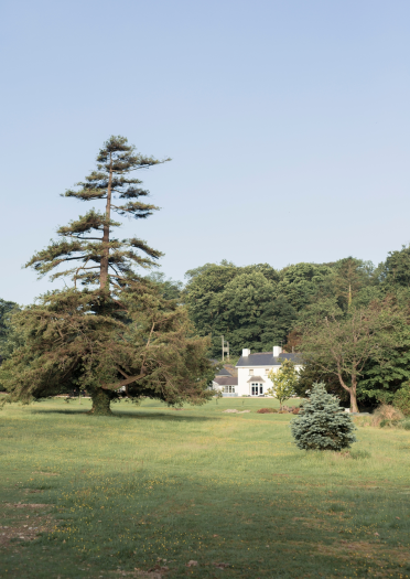 Ynyshir, Eglwys Fach yn cuddio rhwng y coed – yn y pellter.