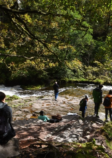 Teulu’n edrych ar raeadr gyda choed o’u gwmpas