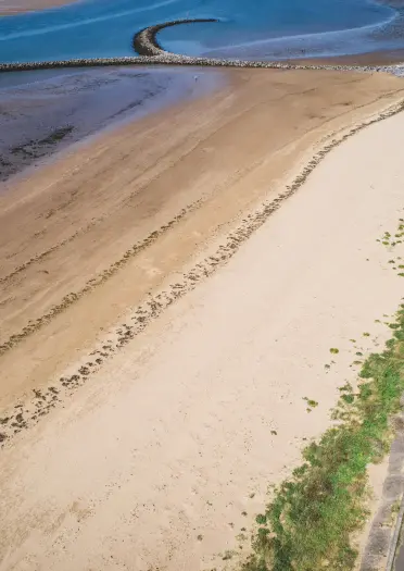 Aerial shot of sea, beach and path
