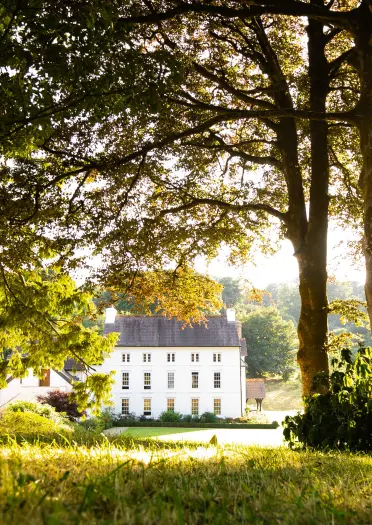 gwesty wedi’i amgylchynu gan goed.