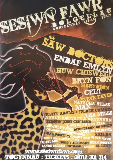 Poster Sesiwn Fawr Dolgellau 2008 gyda darlun o ferch gyda gwallt hir yn chwarae'r ffidl.