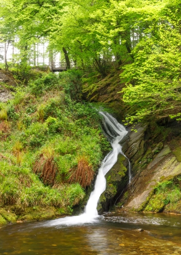 Rhaeadr gul yn llifo i lawr ochr bryn i bwll isod.
