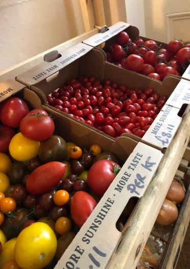 Tomatos coch, melyn a gwyrdd mewn bocsys ar silff