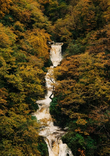 Rhaeadr yn llifo lawr llethr coedio