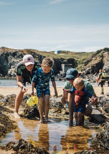 Teulu yn chwilio am fywyd gwyllt mewn pwll ar draeth.