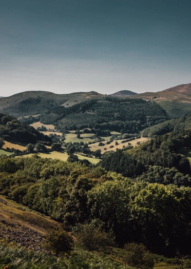Golygfeydd dros ddyffryn gwyrdd a choediog tuag at y bryniau.