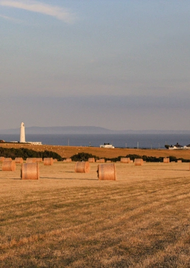 Edrych dros y bêls gwair