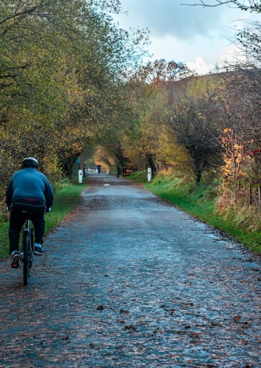 man cycling in country park.