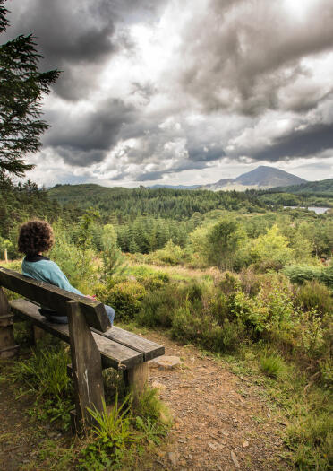 A lady sat on a bench overlooking woodland and mountains.
