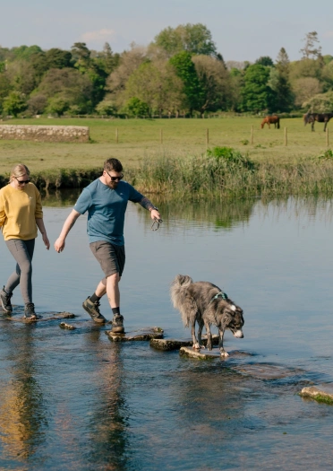 Dau berson a chi yn cerdded ar gerrig sarn dros afon fas.