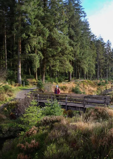 Dynes mewn cot coch yn sefyll o flaen coedwig llawn o goed pin