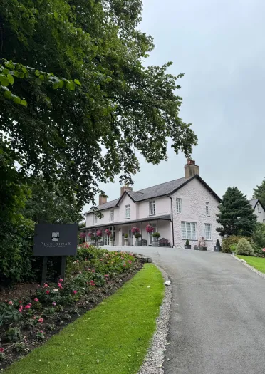 Coeden a llwybr yn arwain at westy.