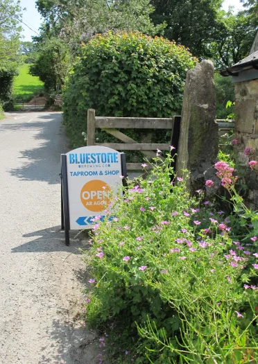 Planhigion ac arwydd 'Bluestone Brewery'