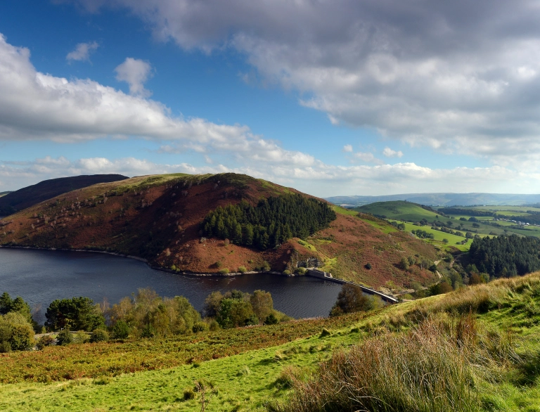 Llun o'r bryn yn edrych i lawr ar Lyn Clywedog