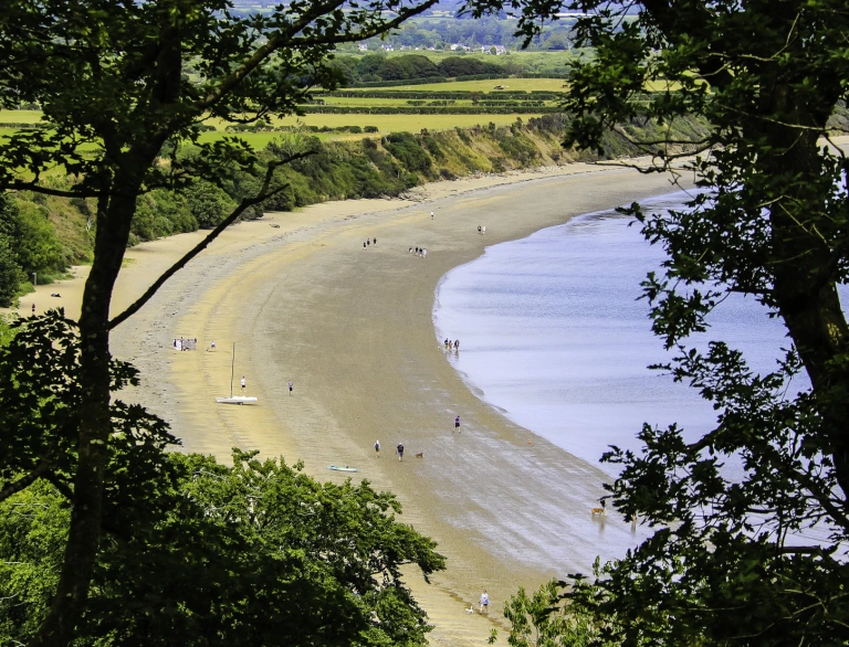 Traeth eang tywodlyd, i’w weld drwy goedwig.
