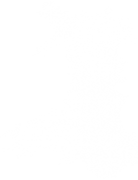 Map highligting the north wales region in white