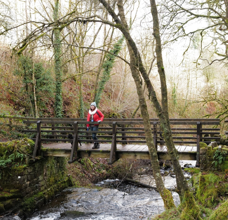 Cerddwr â chi ar bont yn Fforest Garwnant
