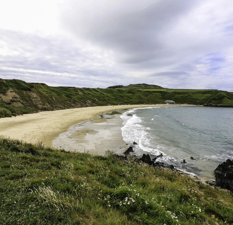 Dyn yn edrych draw ar draeth o dywod euraidd. 