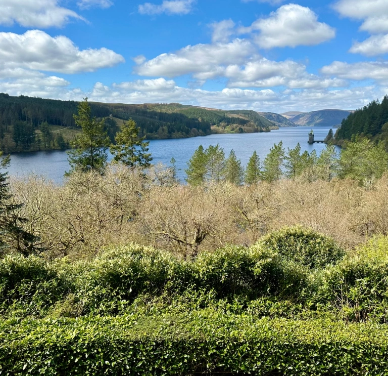 Llyn gyda gwyrddi ym mlaen y llun ac awyr las a chymylau. 