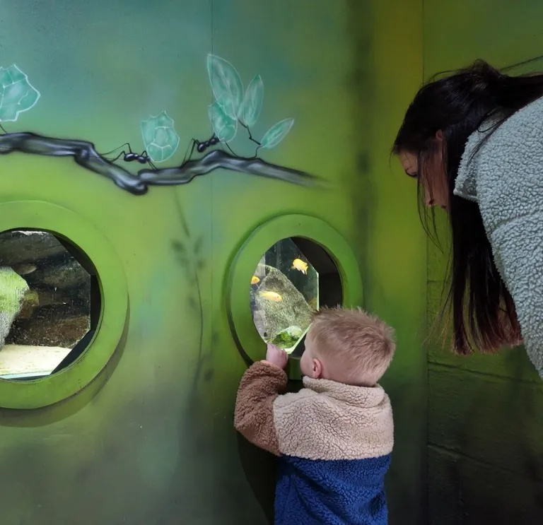 Bachgen bach a menyw yn edrych drwy ffenestri crwn ar bysgod mewn sŵ.