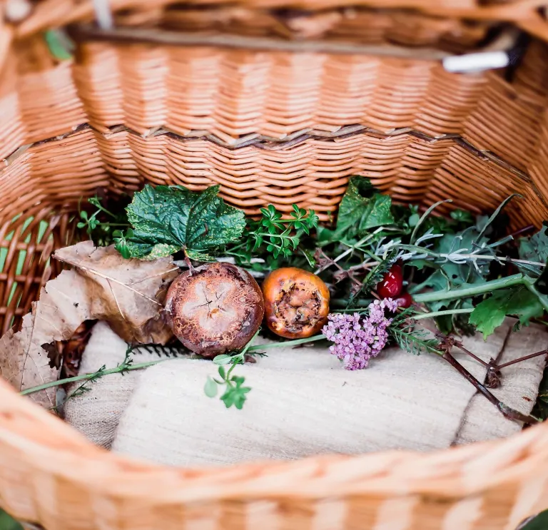 Wicker basket full of foraging finds 