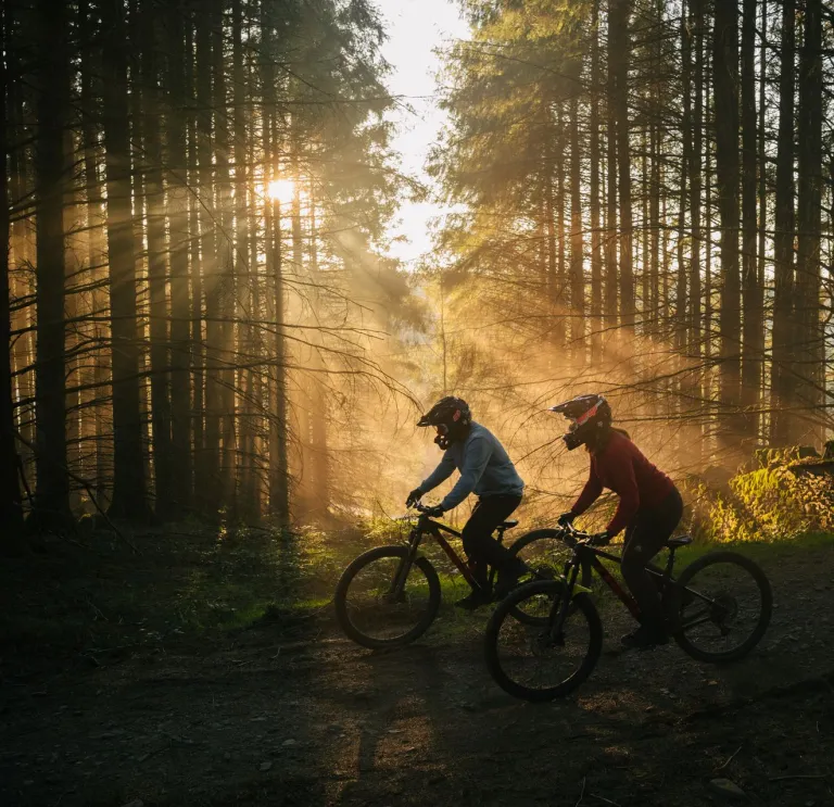 dau berson ar feiciau mynydd yn y coedwig mewn parc beiciau gyda’r haul yn disgleirio drwy’r coed.