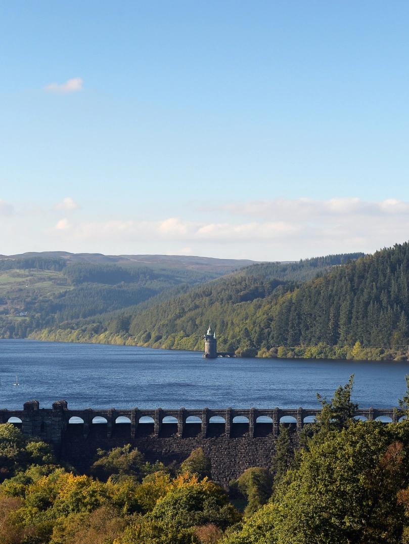 Llun o Lyn Efyrnwy, yr argae a'r tŵr hidlo o bell, gyda choed yn y cefndir