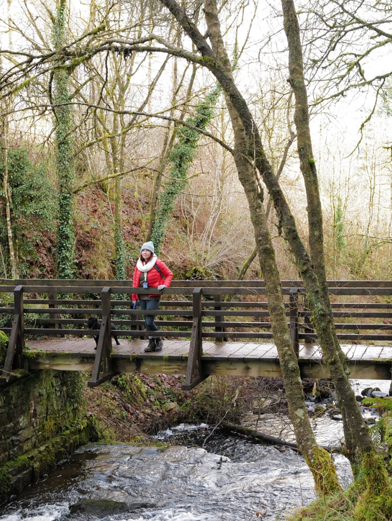 Cerddwr â chi ar bont yn Fforest Garwnant