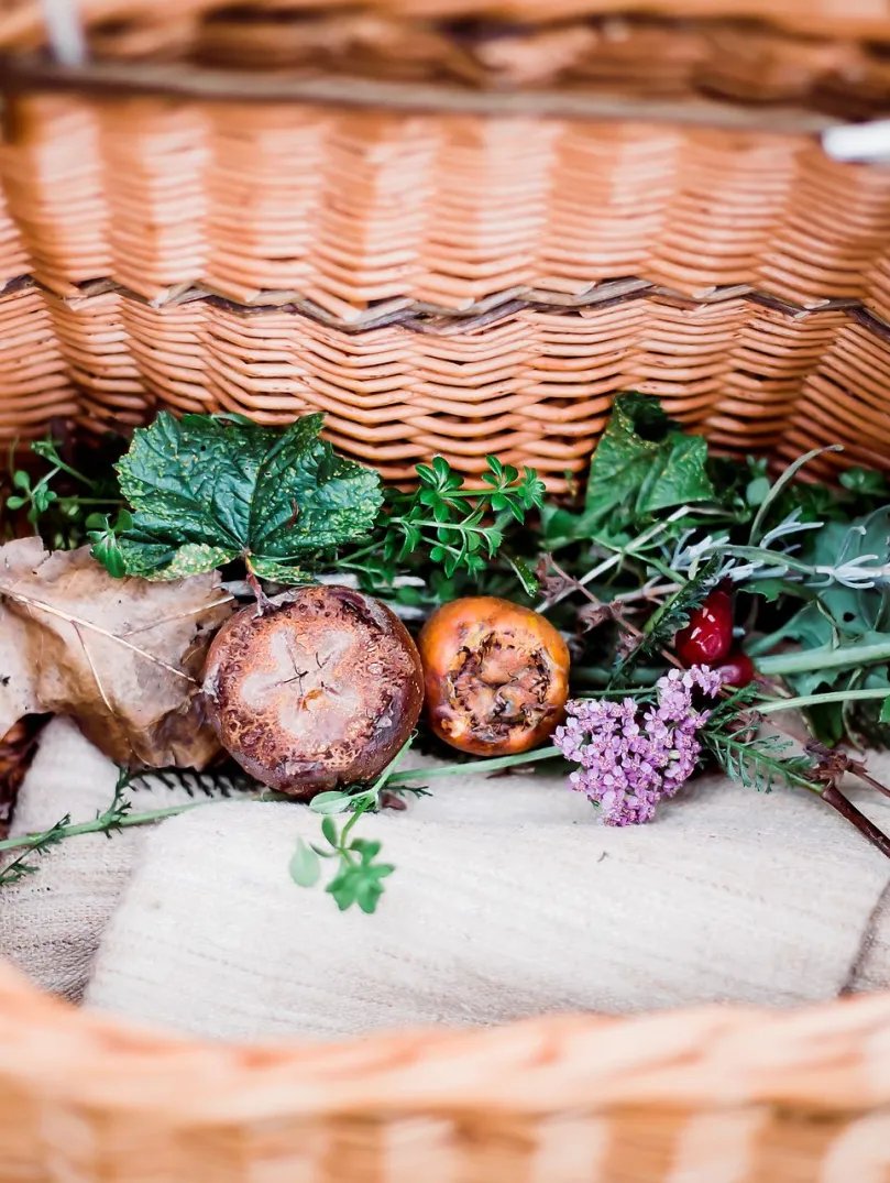 Wicker basket full of foraging finds 