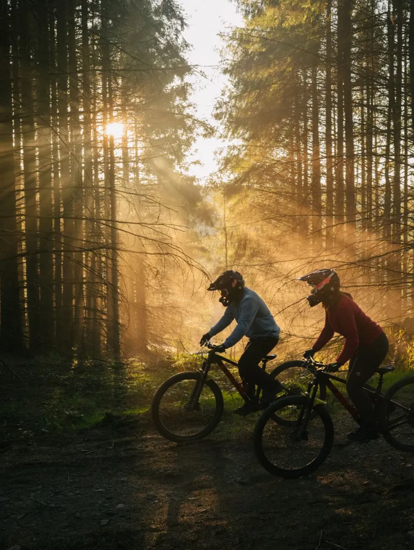 dau berson ar feiciau mynydd yn y coedwig mewn parc beiciau gyda’r haul yn disgleirio drwy’r coed.