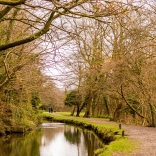 camlas a llwybr camlas wag gyda choed hydrefol ar y ddwy ochr