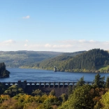Llun o Lyn Efyrnwy, yr argae a'r tŵr hidlo o bell, gyda choed yn y cefndir