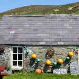 Cwt yn llawn cymeriad ar Ynys Enlli.