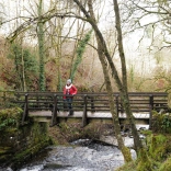 Cerddwr â chi ar bont yn Fforest Garwnant