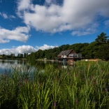 Caffi ger llyn enfawr wedi’i amgylchynu â choed.
