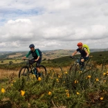 Two women with orange and blue helmets and backpacks on mountain bikes in the green countryside and with yellow flowers in the foreground 