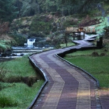 Llwybr eang mewn coetir sy'n arwain at bwynt gwylio, ochr yn ochr â'r afon