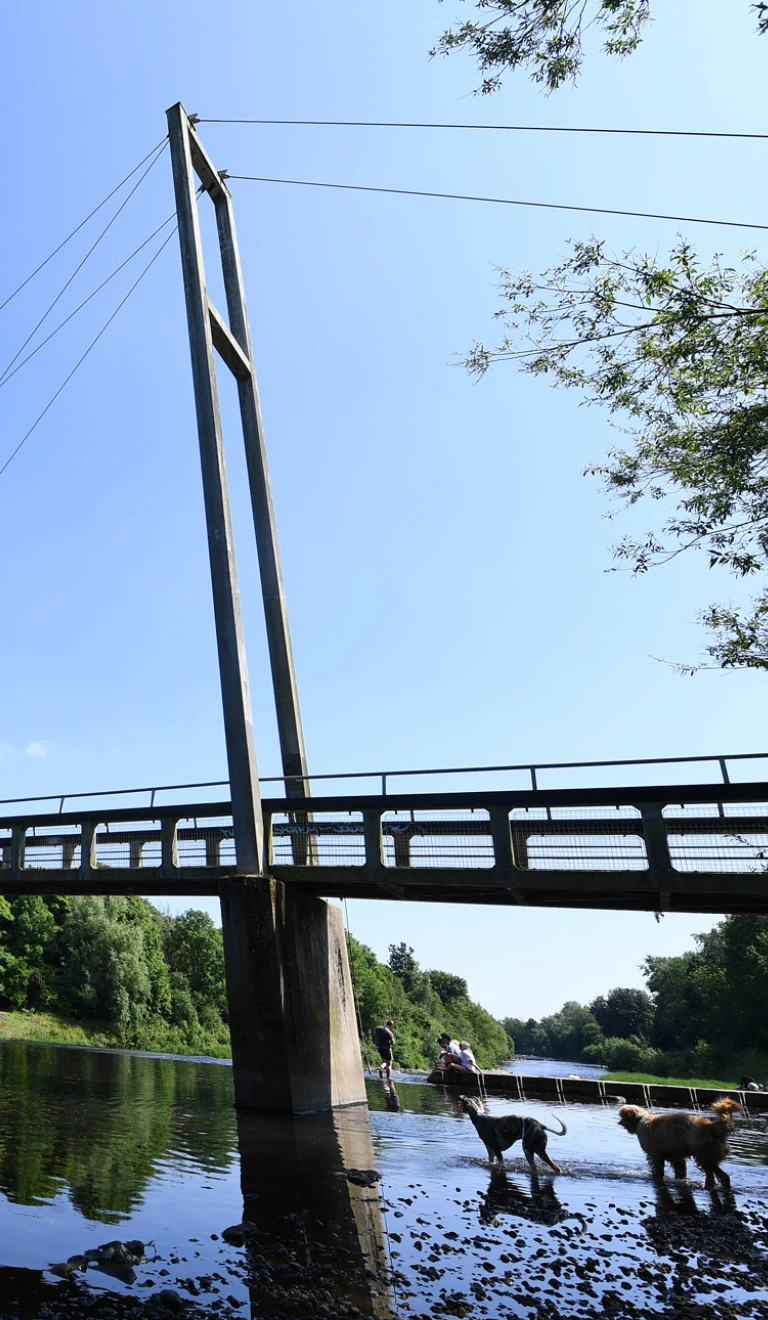 Pont dros afon