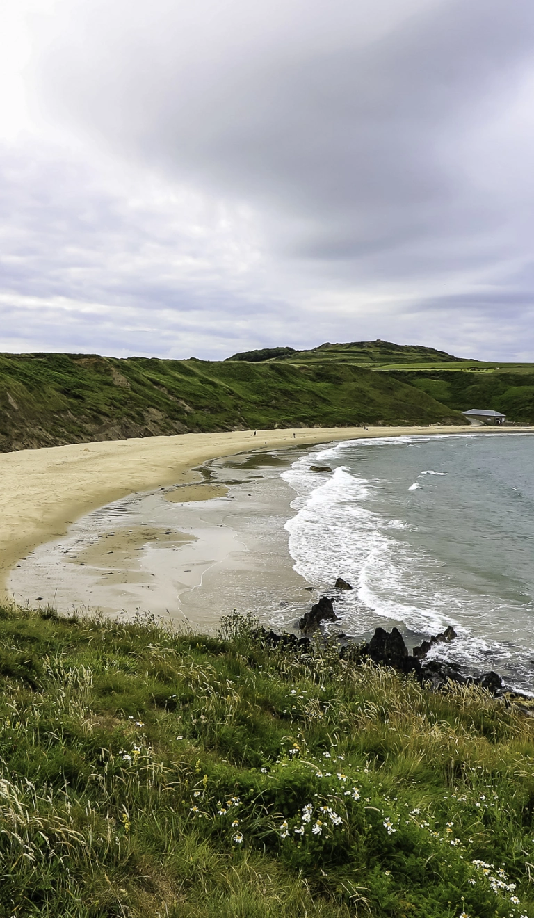 Dyn yn edrych draw ar draeth o dywod euraidd. 