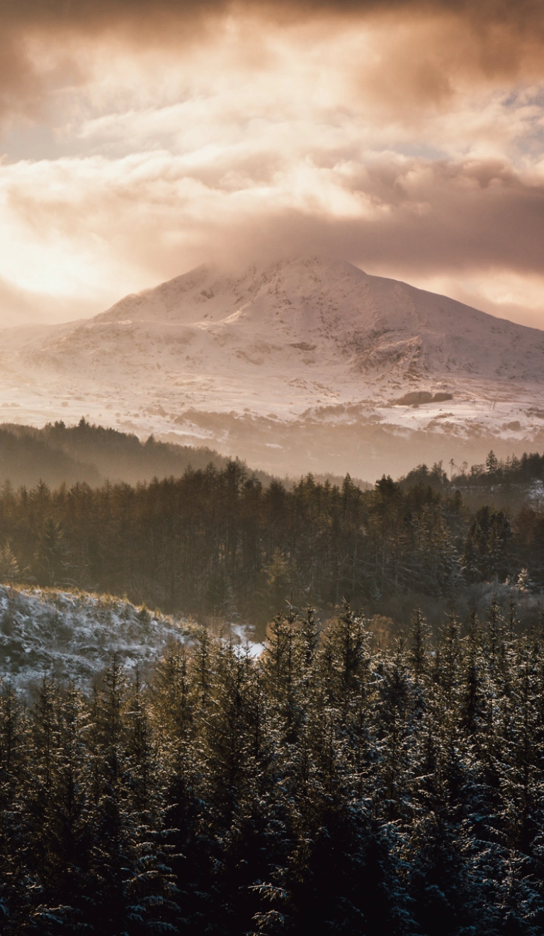 Awyr goch gymylog dros fynydd eira gyda choedwigoedd yn y blaendir.